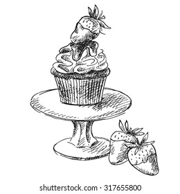 Vector drawing muffin with strawberries. Vintage illustration of dessert.