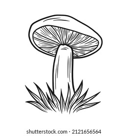 Vector drawing of mushroom in grass. Black ink illustration isolated on white