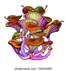 Vector drawing mushrooms