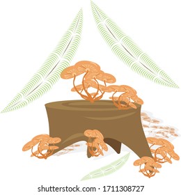 vector drawing of mushrooms on a stump on a transparent background