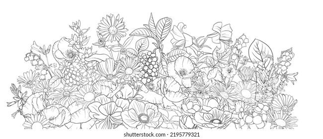 vector drawing natural background with flowers, black and white coloring page, hand drawn illustration