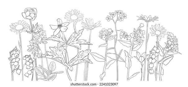 vector drawing natural background with wild flowers, flowering meadow, black and white coloring page, hand drawn illustration