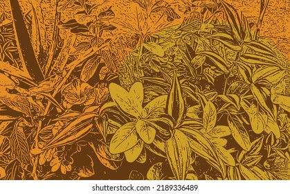 Vector drawing of natural elements leaves and foliage free and colorful geometric designs, outdoor garden elements.