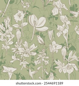 vetor desenhando padrão natural sem costura com flores selvagens e beija-flores, jardim florido, ilustração desenhada à mão