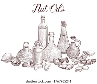 vector drawing nut oils, bottles of vegetable oil and nuts, hand drawn illustration