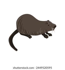 vector drawing nutria, coypu, cartoon animal isolated at white background, hand drawn illustration