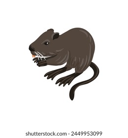 vector drawing nutria, coypu, cartoon animal isolated at white background, hand drawn illustration