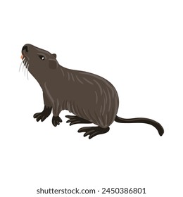 vector drawing nutria, coypu, cartoon animal isolated at white background, hand drawn illustration