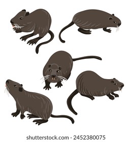 vector drawing nutria, coypu, cartoon animals isolated at white background, hand drawn illustration