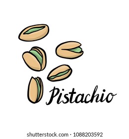 Vector Drawing Nuts Pistachio Hand Drawn Stock Vector (Royalty Free ...