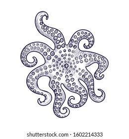 vector drawing octopus, seafoods, hand drawn illustration