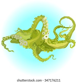 Vector drawing of an octopus/Kraken isolated