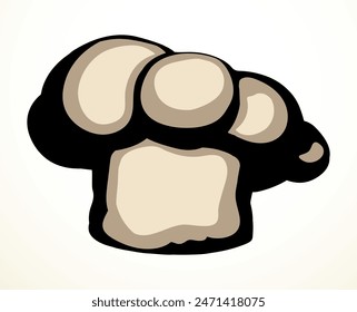 Vector drawing. Old chef hat