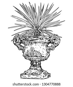 Vector drawing of old ornamental antique garden goblet or vase made from stone with yucca plant.