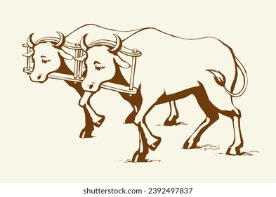 Vector drawing. Old wooden yoke on the cow svg