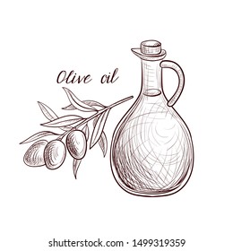 vector drawing olive oil, bottle of vegetable oil and branch with leaves and olives,hand drawn illustration