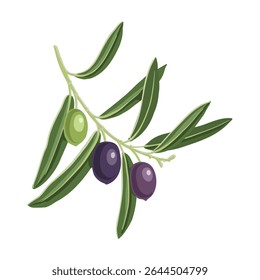 vetor desenho ramo de oliveira com frutos e folhas verdes isolados no fundo branco, desenhado à mão ilustração