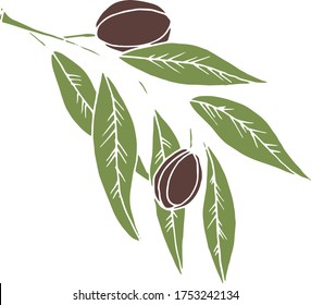 Vector drawing olives. Nature. Sketch, illustration. decorative