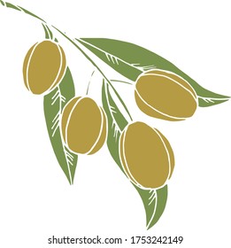 Vector drawing olives. Nature. Sketch, illustration. decorative