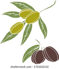 Vector drawing olives. Nature. Sketch, illustration. decorative