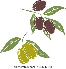 Vector drawing olives. Nature. Sketch, illustration. decorative