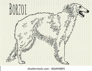 vector drawing on notebook sheet Russian Hound