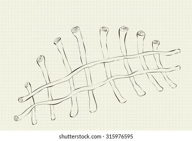 vector drawing on a piece of fence student notebooks