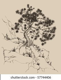 Vector drawing. On the steep ledge of rock rising winds twisted pine