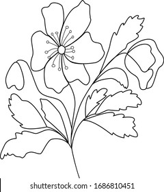 Vector drawing on a white background, flower in a linear style. For the design of wallpapers, phone cases, notebooks, coloring books, botanical illustrations.