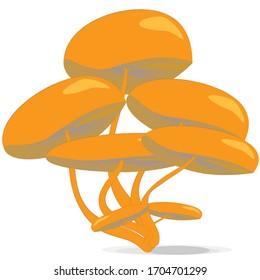 vector drawing on a white background mushrooms opyat