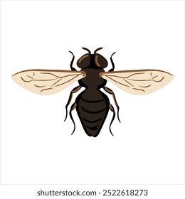 vector drawing onion bulb fly isolated at white background, garden pest, hand drawn illustration