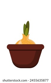 Vector drawing of onions in a pot sprouting