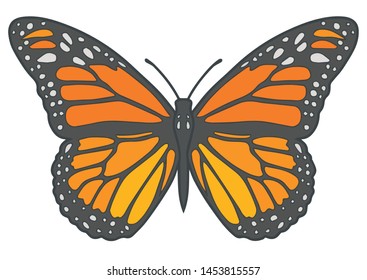 Orange Butterfly Vector Illustration Stock Vector (Royalty Free) 1110364229