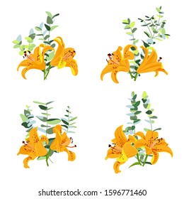 vector drawing orange flowers of lilies, tiger lily and branches of eucalypt with green leaves, isolated floral elements at white background, hand drawn illustration