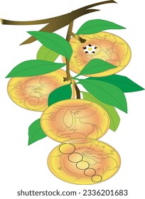 Vektorgrafik von Orangenfrucht
orangefarbene Illustration
Frische Orangen auf weißem Hintergrund
