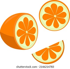 Vector dibujando naranja. Ilustración de un cítrico sobre un fondo blanco.