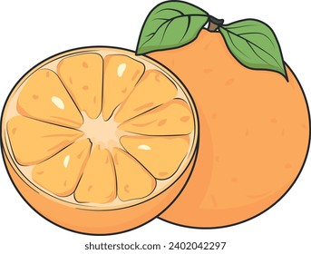 vector drawing orange or tangerine without background