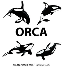 Vector drawing orca (killer whale). Cute animals set of icons.