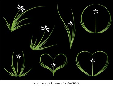 vector drawing orchid flower design icon set