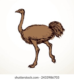 Vector drawing. Ostrich in the steppe