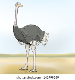 Vector drawing of an ostrich/Ostrich/Easy to edit vector file, grouped objects and layers, meshes only used in the background, no gradients or meshes used on ostrich,