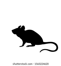 vector drawing outline ink rat