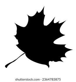 
vector drawing outline maple leaf