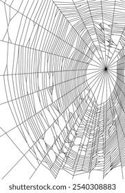 Vector drawing of outline spider's web silhouette in black color, on white background