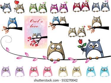 vector drawing owl cartoon set