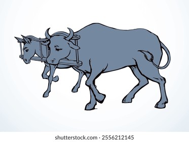 Vector drawing. Ox and donkey in one harness