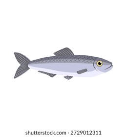 Vektorgrafik Pazifischer Hering , Kommerzieller Fisch einzeln auf weißem Hintergrund, handgezeichnet