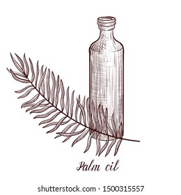 vector drawing palm oil, bottle of vegetable oil and ,hand drawn illustration