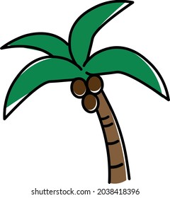A vector drawing of a palm tree with coconuts and green leaves