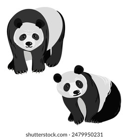 Vektorgrafik Zeichnung Panda Bär, Cartoon Tier isoliert auf weißem Hintergrund, handgezeichnete Illustration